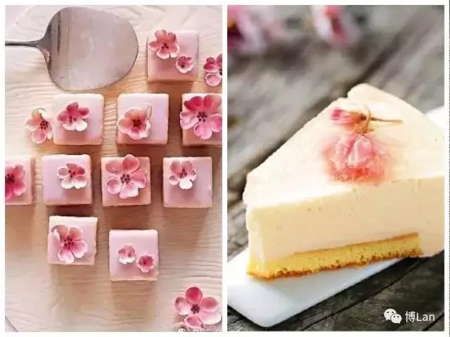 又到樱花季,又到了樱花绽放的季节