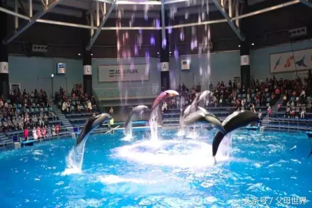 一个从来没用过童车的爸爸抱着孩子去日本水族馆吓人了!