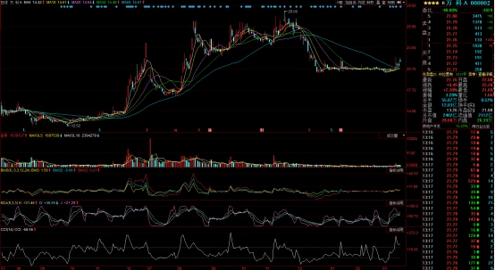 许家印撬动房地产,许家印爆雷前的豪言壮语