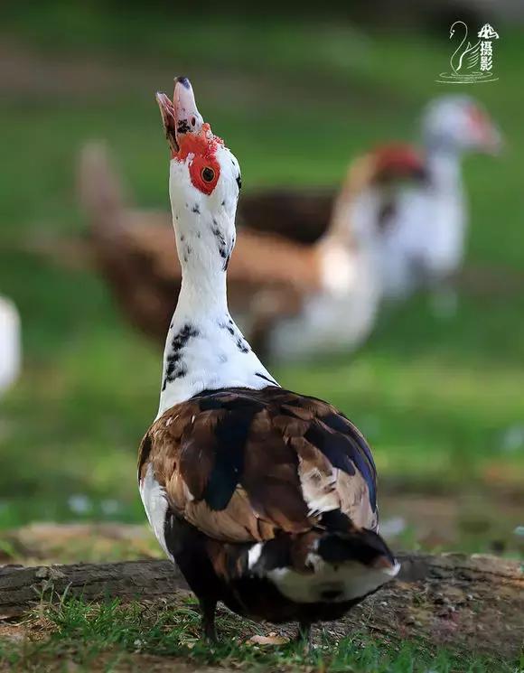 大连外国语大学现在让进吗,大连外国语大学怎么样了