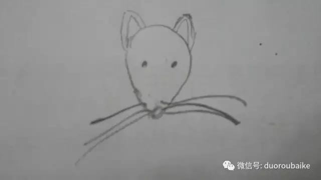 小心！这些坏蛋会吃多肉哦！