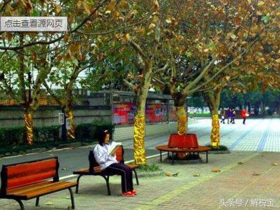 一般纳税人增值税逾期怎么补申报,增值税一般纳税人认定风险