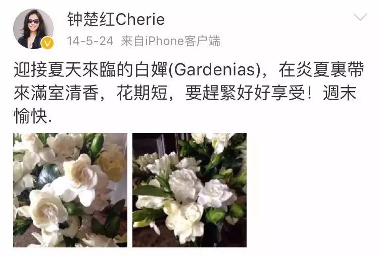 小八｜那些钟楚红爱过的花和包