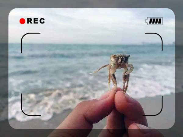 老海骑行海南,骑行海南与星辰大海相遇