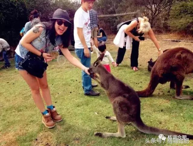 定制之春|一个美女与皮具定制不得不说的故事