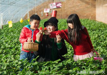 孩子吃草莓后腹泻、呕吐、发烧？是因为吃法不对！