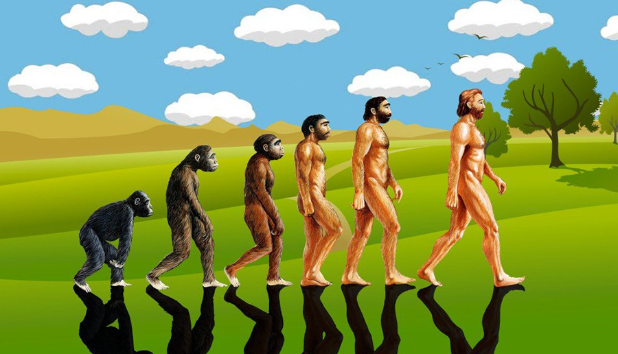 进化论为什么有些没有进化,进化论最可怕的真相是什么