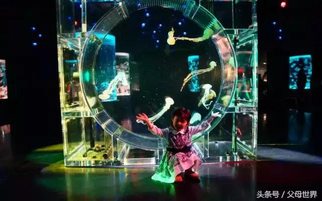 一个从来没用过童车的爸爸抱着孩子去日本水族馆吓人了!