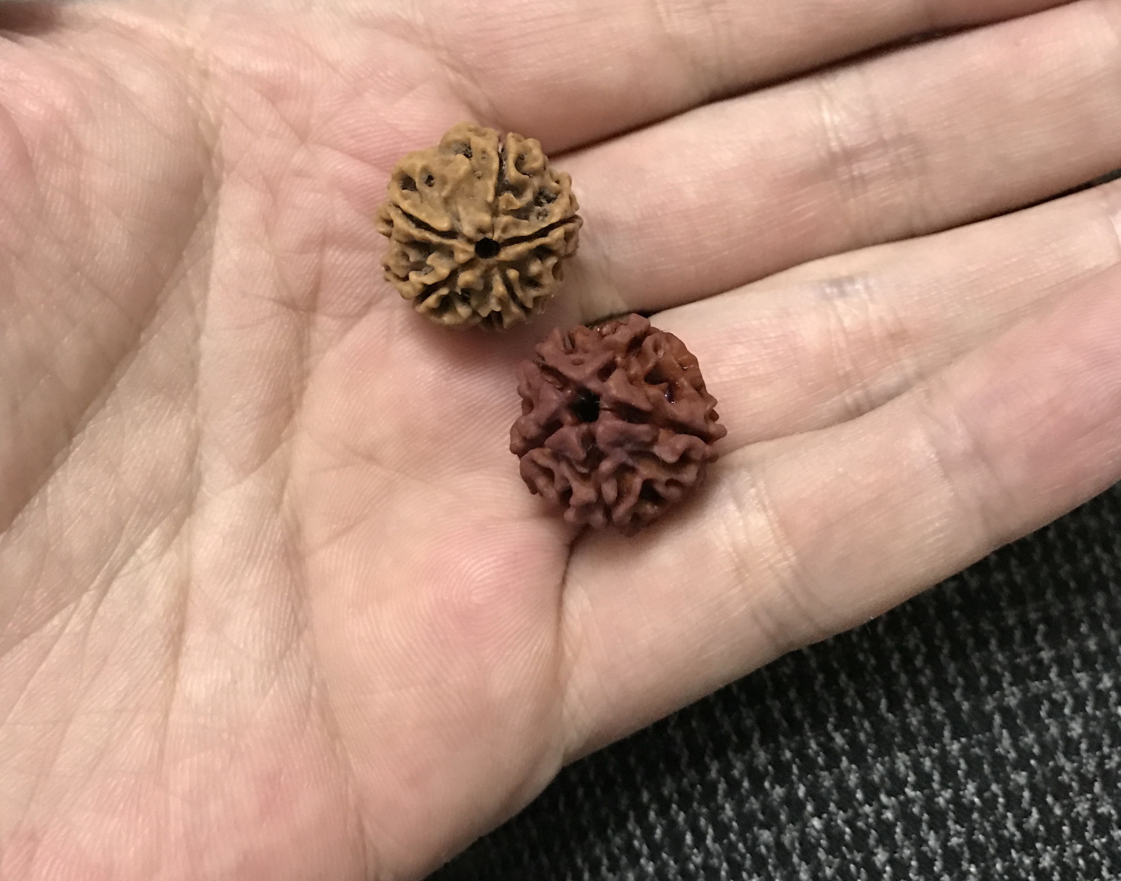 顽主解说,顽主文玩视频