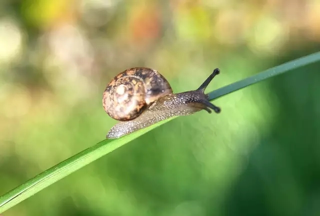 <html>
<head><title>502BadGateway</title></head>
<body>
<center><h1>502BadGateway</h1></center>
<hr><center>nginx</center>
</body>
</html>
<!--apaddingtodisableMSIEandChromefriendlyerrorpage-->
<!--apaddingtodisableMSIEandChromefriendlyerrorpage-->
<!--apaddingtodisableMSIEandChromefriendlyerrorpage-->
<!--apaddingtodisableMSIEandChromefriendlyerrorpage-->
<!--apaddingtodisableMSIEandChromefriendlyerrorpage-->
<!--apaddingtodisableMSIEandChromefriendlyerrorpage-->
