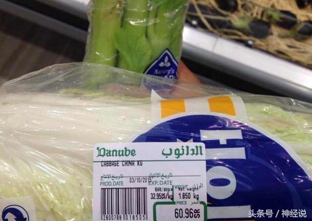 沙特一年要交多少税,沙特高收入需要缴税多少