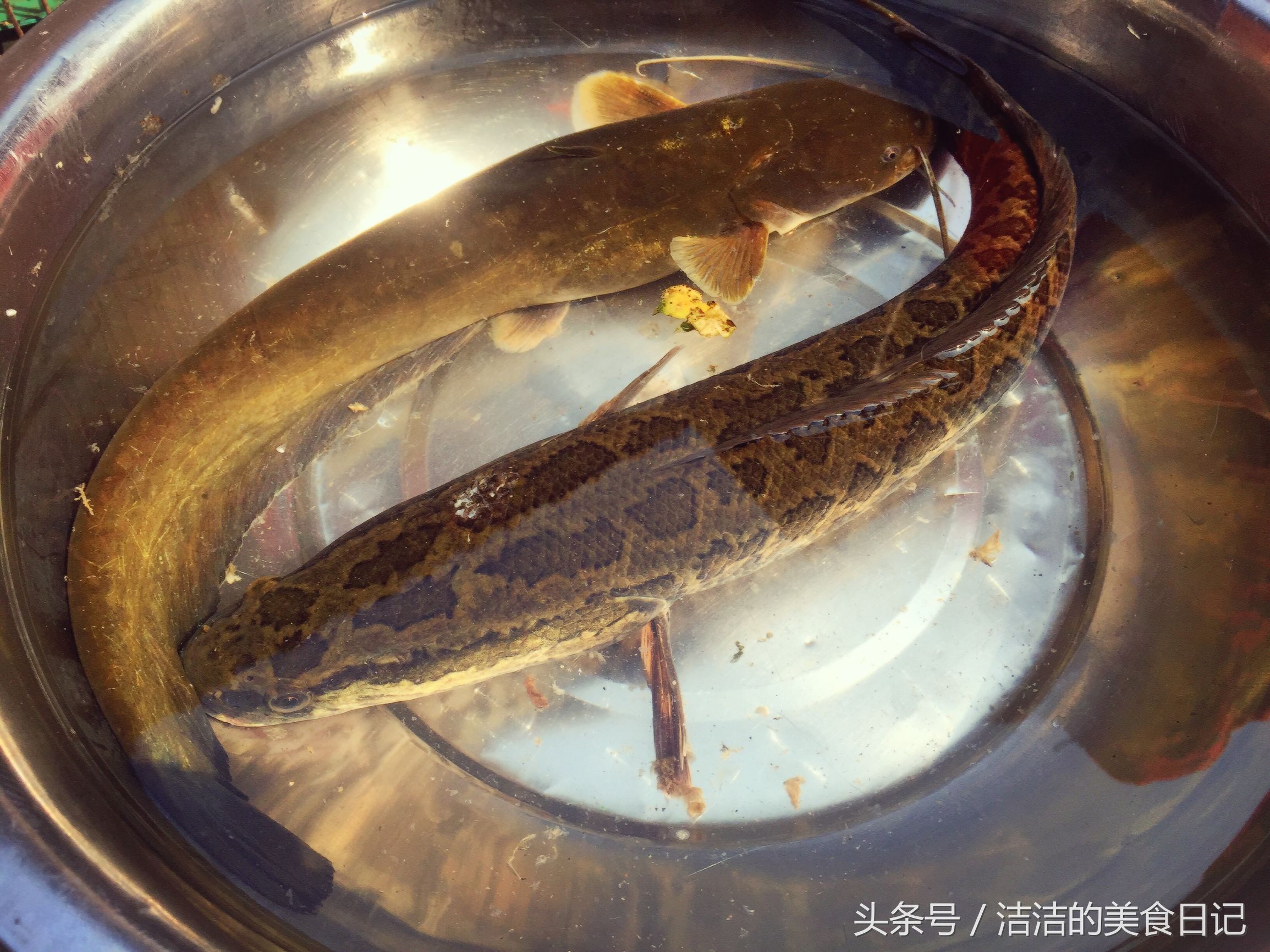 黑鱼怎么烧汤才好吃,黑鱼怎么炖有营养价值