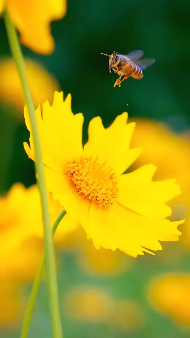 <html>
<head><title>502BadGateway</title></head>
<body>
<center><h1>502BadGateway</h1></center>
<hr><center>nginx</center>
</body>
</html>
<!--apaddingtodisableMSIEandChromefriendlyerrorpage-->
<!--apaddingtodisableMSIEandChromefriendlyerrorpage-->
<!--apaddingtodisableMSIEandChromefriendlyerrorpage-->
<!--apaddingtodisableMSIEandChromefriendlyerrorpage-->
<!--apaddingtodisableMSIEandChromefriendlyerrorpage-->
<!--apaddingtodisableMSIEandChromefriendlyerrorpage-->
