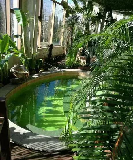 一起泡个温泉,温泉泡池冬天来一场暖暖温泉旅行