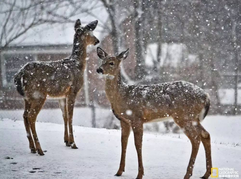 国家地理摄影图片冬天,中国国家地理景观冬季