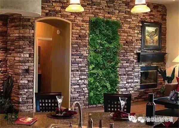 禅意风植物墙,特色植物墙