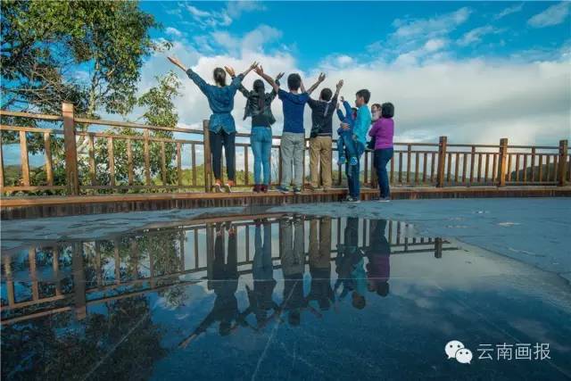云南省什么地方风景区最好,云南生态环境最好的地方