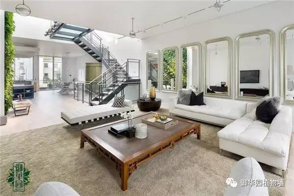 禅意风植物墙,特色植物墙