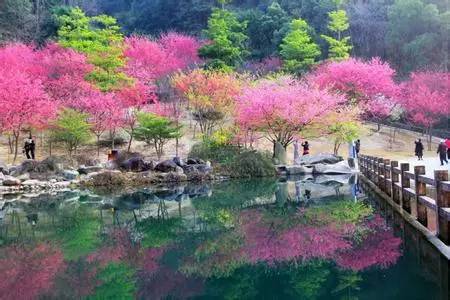 福州房价均价2023,福州房价2024年最新行情