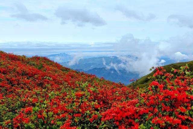 10大主题50条旅游精品线路,浏阳夏季游玩攻略