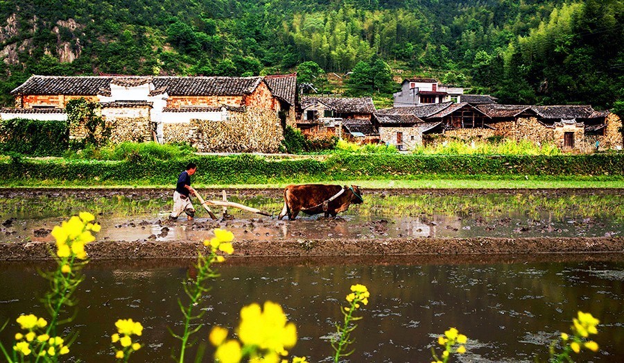 隐藏在贵州大山深处的小香港,隐藏在大山里的小香港