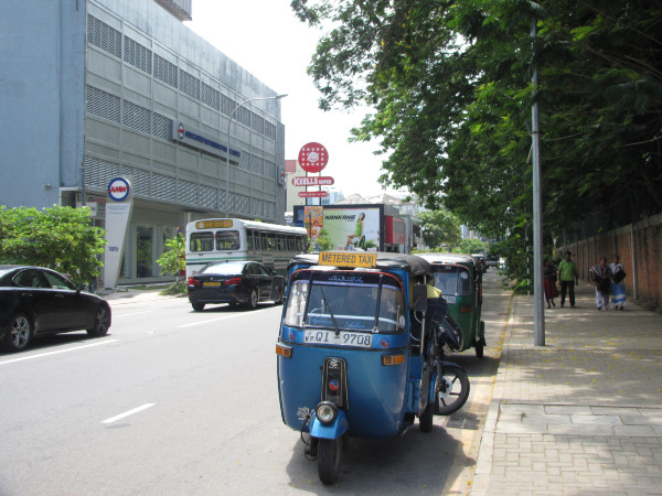 斯里兰卡旅游攻略是什么,斯里兰卡旅游攻略推荐亲子