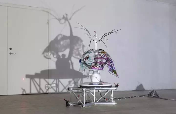 在山的那边海的那边有一群小红狗,在山的那边海的那边有一个蓝精灵