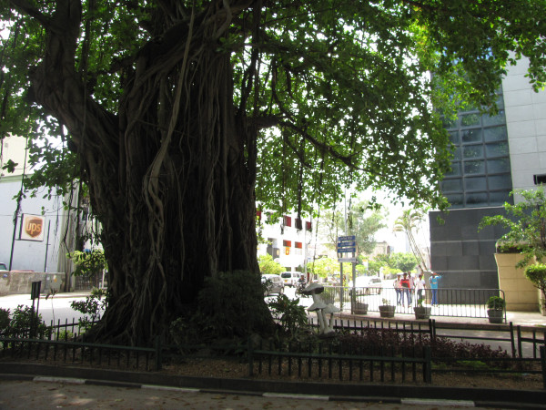 斯里兰卡个人旅游攻略,斯里兰卡华人旅游攻略视频