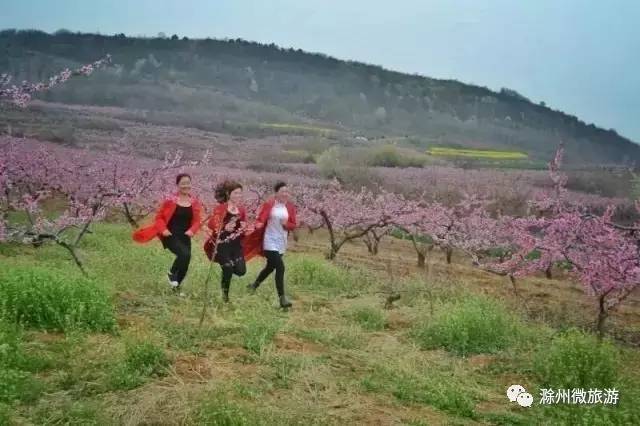 中国最美桃花林发出邀请函请查收 (明光市涧溪桃花节)