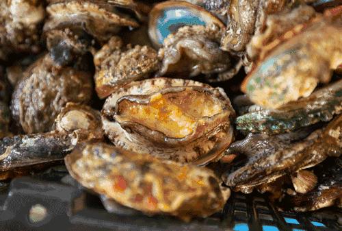 大连海洋馆搬运动物,大连空运的海鲜