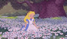 贵州旅游推荐2-3天游免费景区,贵州旅游5折优惠有哪些景点