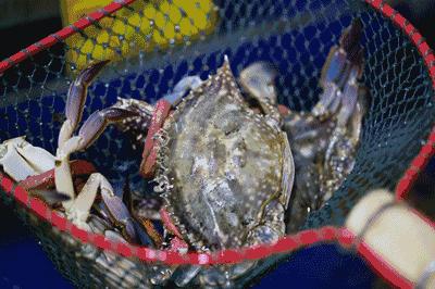 大连空运来的海洋馆，这家海鲜仓库简直是大海的搬运工对不起，你们的皮皮虾已经被我炒了