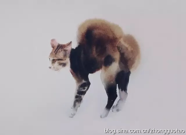 日本水墨画猫,国画猫水墨画