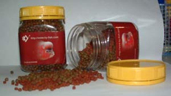 罗汉和地图混养条件,几种罗汉饲料混合喂