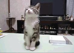 涓讳汉涓庣嫍鐙楃殑绾﹀畾,涓讳汉鍜岀嫍鐙楃殑瑾撶害