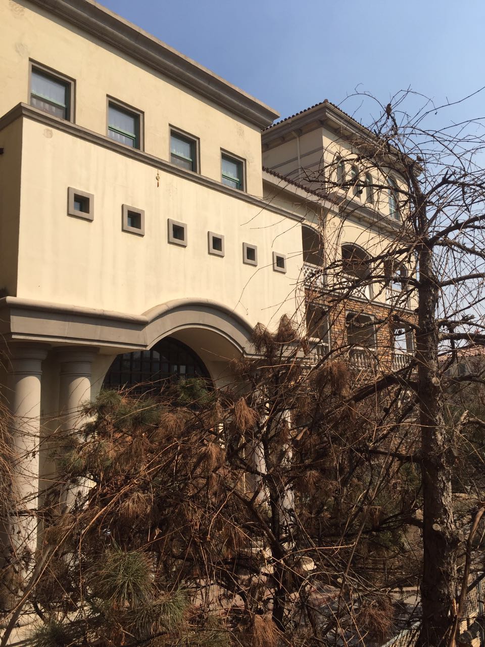 驴小妹的全部视频,驴小妹的奇妙旅行