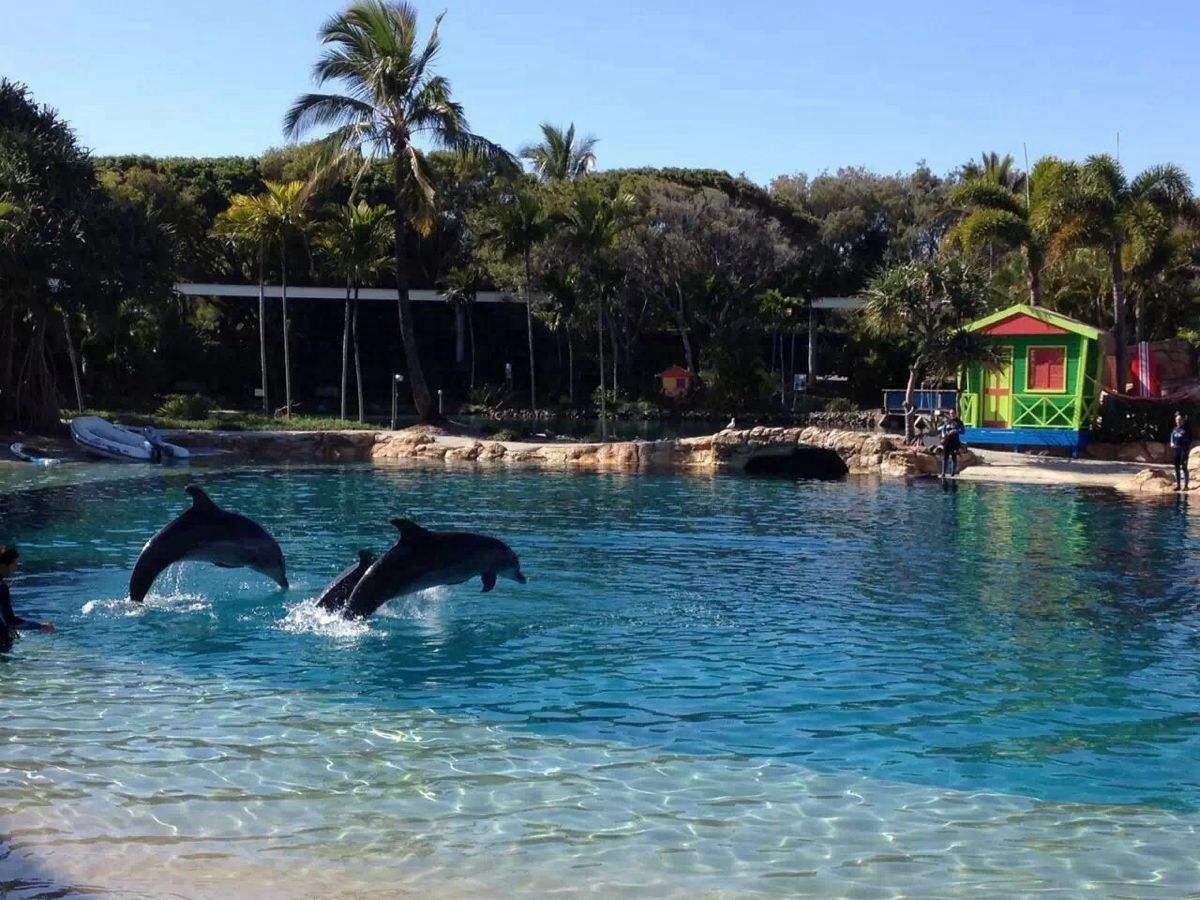 刘强东与奶茶妹妹的婚礼举办地大堡礁到底有多美？自己去看！