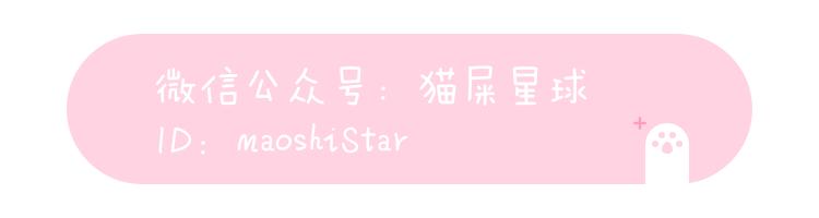 百搭实用小个子托特包推荐,托特包洋气百搭又好看