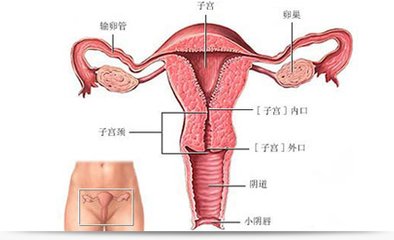 人流术后月经量明显减少或者迟迟不来，警惕是否发生了宫腔粘连？
