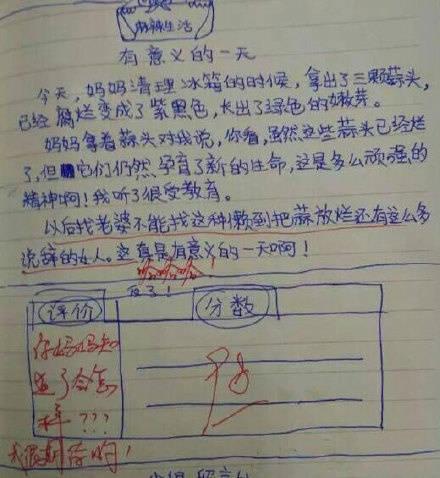 中国熊孩子写作文,熊孩子写作文套路