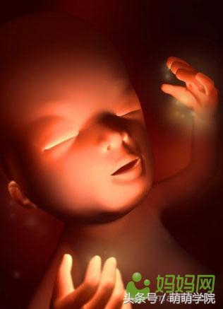 孕期1到40周胎儿发育全过程,胎儿发育40周全过程动态画