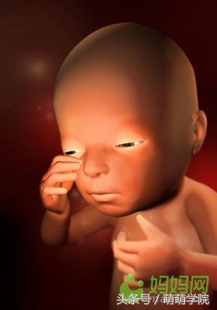 胎儿发育40周全过程b超影像,胎儿1-40周发育过程图高清