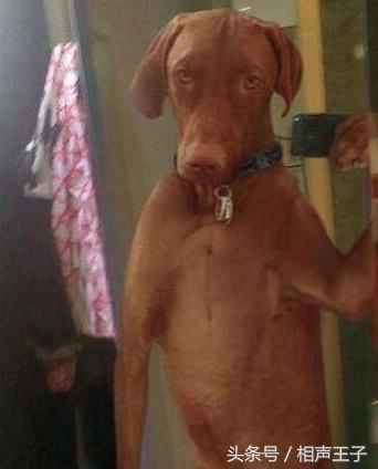 姑娘,别再抬脚了,整个车厢都弥漫着你臭袜子的味道