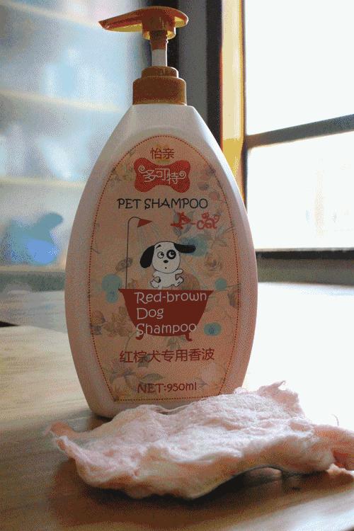 爱妖经｜“网红”还不够，更要实力派