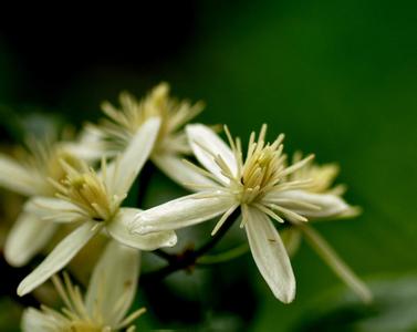 咽部异物感噎得慌,咽部吞咽异物感一般会是什么病症