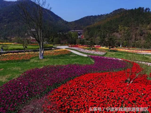 花博园红你是苹果红，我是最正中国红！