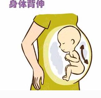 宝宝胎动的视频,胎儿35周胎动动作大