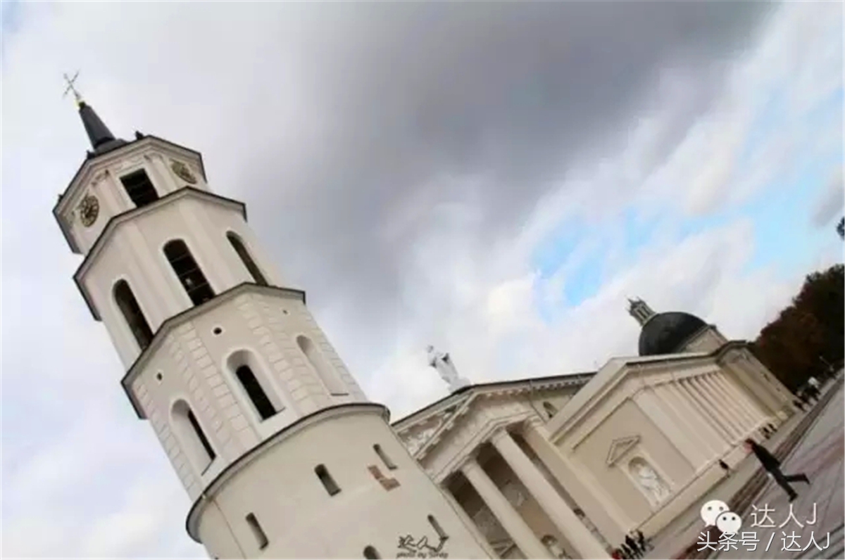 猜猜哪个国家连刺猬都有路牌？