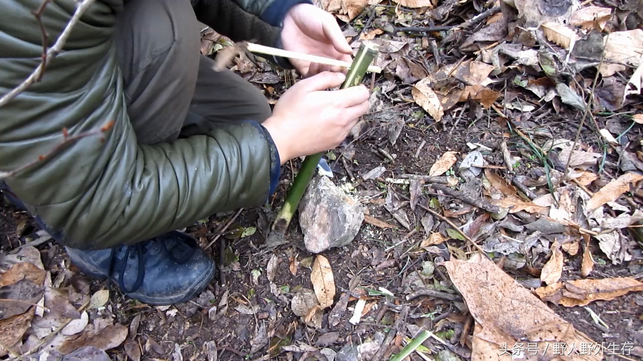 狩猎式陷阱,狩猎陷阱最快玩法