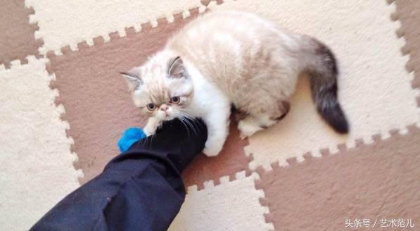 国足赢了教练反应,国足赢了教练的反应